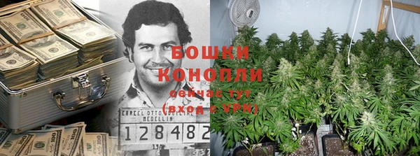 сатива Вязьма