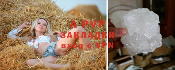 сатива Вязьма