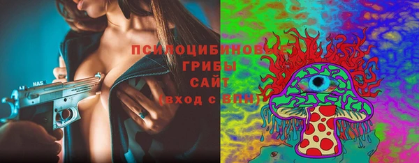 сатива Вязьма