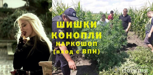 сатива Вязьма